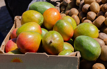 very beautiful mango lies in a cardboard box along with kiwi