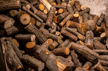 A pile of mixed firewood in the basement.