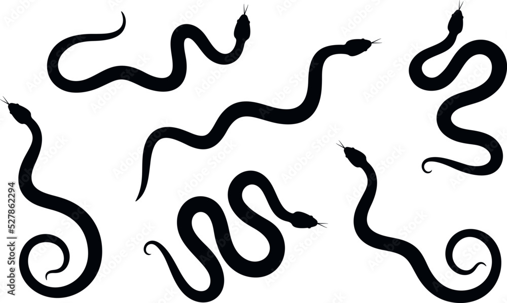 Poster snake silhouette set. isolated snake silhouette on white background