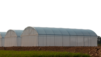 View isolates cultivation dome building is made of white plastic tarp covering the length installed on the ground in rural Thailand.
