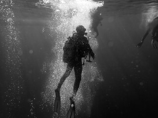 scuba diver jumping in to the water