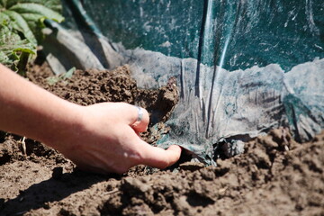 Agriculture, field, biodegradable and compostable plastic mulching film