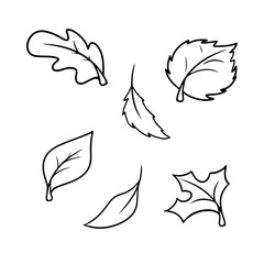 Monochrome Set of autumn icons, autumn leaves from different trees, leaf fall, vector cartoon