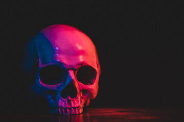 Single human skull on wood table with black background. The closeup photography idea