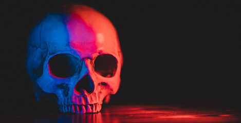 ฺBanner background of human skull. The anatomical of the human skull showed teeth and skeletons. Feel the isolated, dark, dead face, horror and spooky concept.