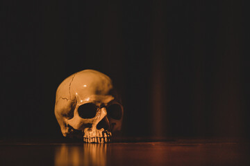 The anatomical of the human skull showed teeth and skeletons. Feel the isolated, dark, dead face,...