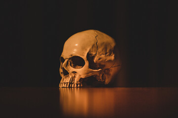 Single human skull on wood table with black background. The closeup photography idea