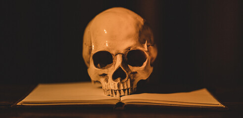 Banner background of human skull. The art photo of anatomy model human skull with open book. The...