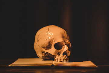 The art photo of anatomy model human skull with open book. The closeup horror photography idea.