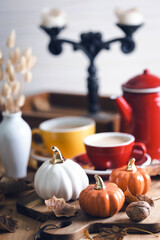 beautiful autumn background with pumpkins
