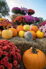 Fall display with mums, pumpkins, squash, and straw bales