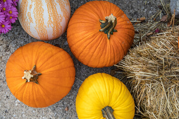 Orange and yellow pumpkins and squash beside a straw bale, top down view | Autumn decorations - Powered by Adobe
