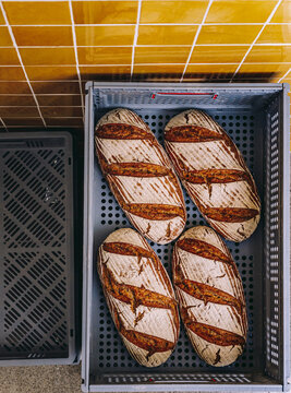 Fresh bread in plastic container