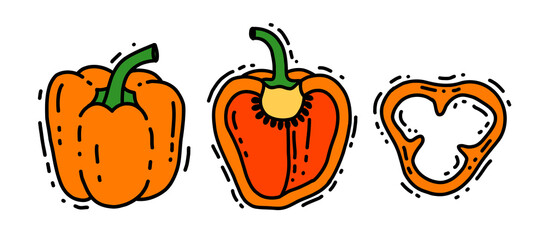 Collection of vector bell pepper. Doodle vegetables whole, half and piece, sliced pepper isolated on the white background
