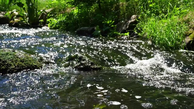 Bergbach im Sommer - Bachlauf mit Steine und klarem Wasser