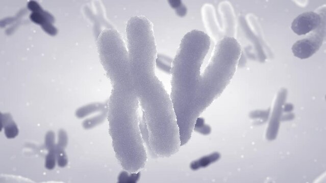 DNA molecules are organized in structures called chromosomes. Chromosomes unique structure allows genetic data to be kept inside the nuclei of cells
