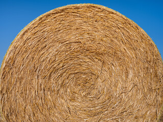 Une meule de paille après les moissons de blé