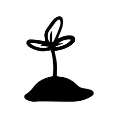 doodle seedling

