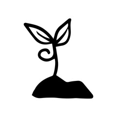 doodle seedling
