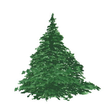 Empty Christmas tree. Spruce tree isolated on a transparent background. Watercolor Christmas tree clipart. Landscape scene object. Hand-drawn green pine tree illustration. Evergreen plant.