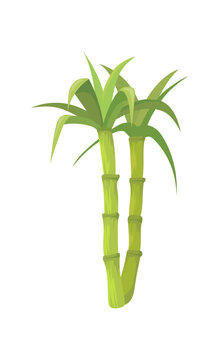 Bamboo stems with leaves. Stick green leaf growing sugar cane, cartoon vector flat icon illustration