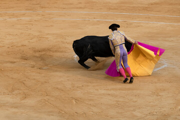 scene of a bullfight with a cape