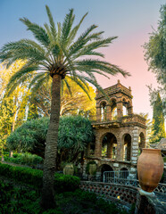 Villa Comunale di Taormina palmier
