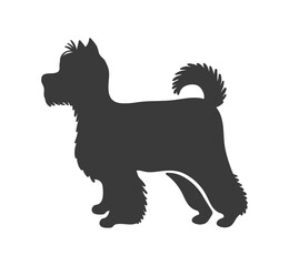 Yorkshire terrier silhouette. Personality training species dog silhouett, vector icon