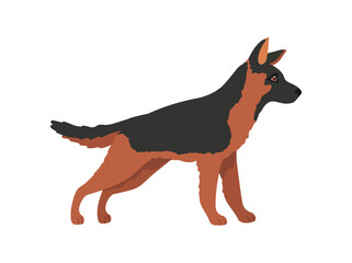 Young shepherd. Cartoon police dog, german shepsherd, vector illustration