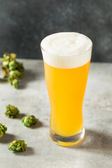 Cold Refreshing IPA Craft Beer