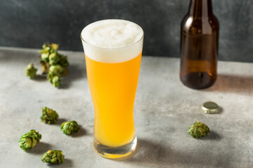 Cold Refreshing IPA Craft Beer