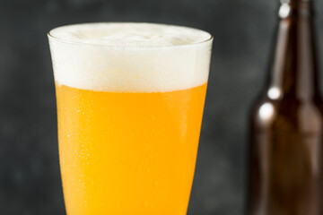 Cold Refreshing IPA Craft Beer