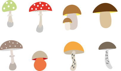 Cartoon mushrooms. Poisonous and edible mushroom, isolated vector illustration set. Forest wild mushrooms types.