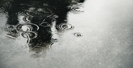 A black-and-white image of a deep puddle in the city, into which raindrops fall, leaving circles on...