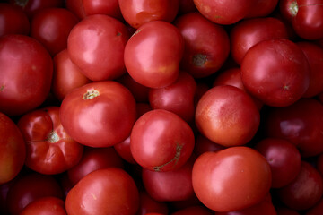 red tomatoes on the market