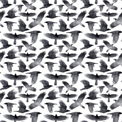 Seamless watercolor pattern with black flying ravens on white background. Hand drawn inky birds.