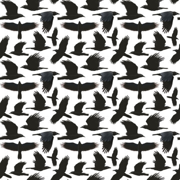 Seamless pattern with black flying ravens on white background. Hand drawn birds.
