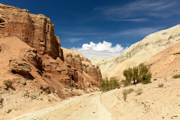 Altyn Emel National Park, Aktau mountains. The floor of the ancient ocean.
