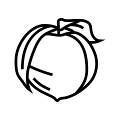ripe peach leaf line icon vector. ripe peach leaf sign. isolated contour symbol black illustration