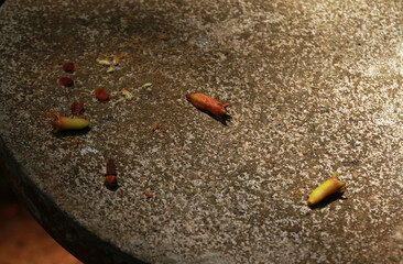 Fresh cloves before drying, Sri Lanka