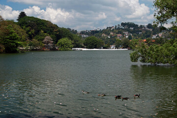 Landscape of Kandy Lake, Kandy, Sri Lanka
