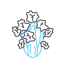 fresh celery line icon, outline symbol, vector illustration, concept sign