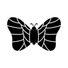 art pattern butterfly
