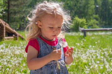 A 3 year old blonde girl with disheveled hair blows on a white fluffy dandelion in summer