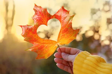 Poster yellow leaf with a heart in a female hand, background of golden leaves lie chaotically on the ground, autumn mood concept, seasonal © kittyfly