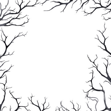 Botanical border PNG  with transparent background, old dry tree branches, dark frame on white, perfect for Halloween