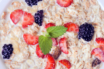 oatmeal with strawberries and blackberries in milk