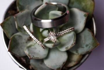 Wedding rings with diamonds on green succulent plant
