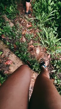 POV of a person walking, walking in the jungle, hiking POV, point of view of a person walking, walking through the jungle, Point of view perspective