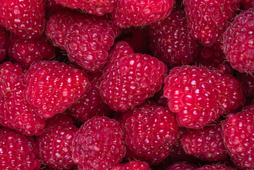 Raspberries fruit close-up, vegetarian healthy food
